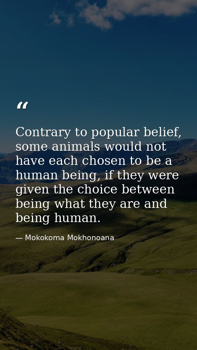 Contrary to popular belief, some animals would not have each chosen to be a human being, if they were given the choice b — Mokokoma Mokhonoana