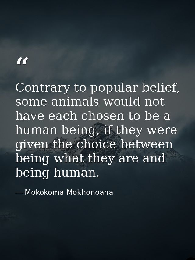 Contrary to popular belief, some animals would not have each chosen to be a human being, if they were given the choice b — Mokokoma Mokhonoana