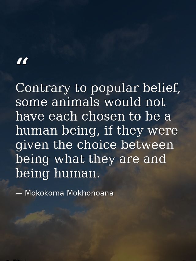 Contrary to popular belief, some animals would not have each chosen to be a human being, if they were given the choice b — Mokokoma Mokhonoana