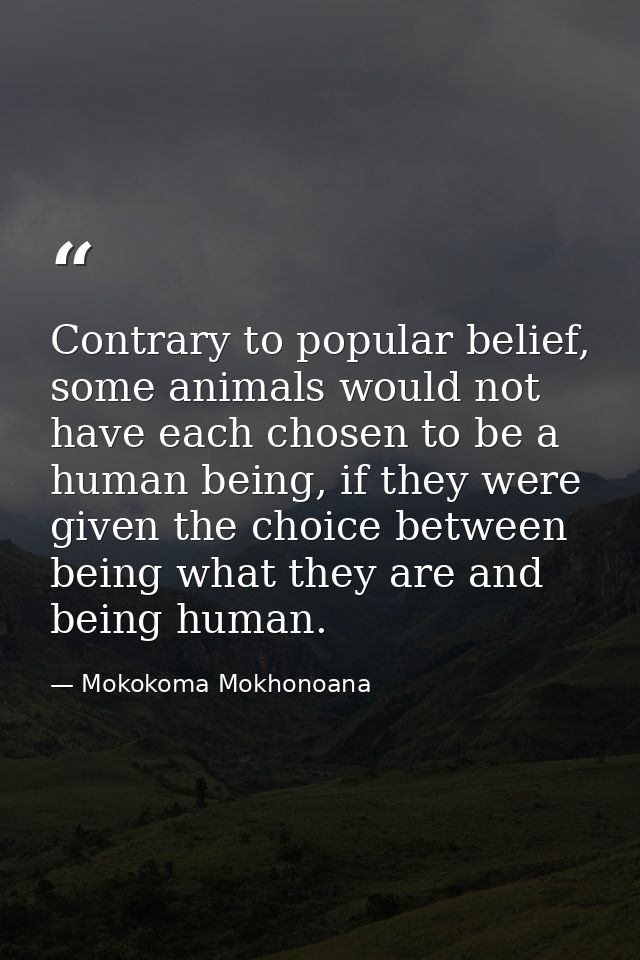Contrary to popular belief, some animals would not have each chosen to be a human being, if they were given the choice b — Mokokoma Mokhonoana