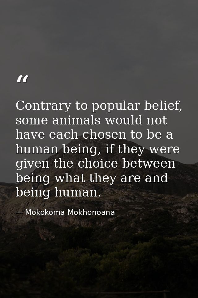 Contrary to popular belief, some animals would not have each chosen to be a human being, if they were given the choice b — Mokokoma Mokhonoana