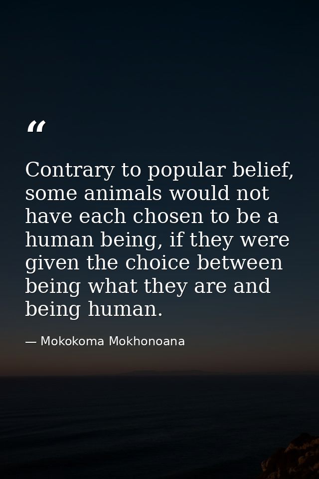 Contrary to popular belief, some animals would not have each chosen to be a human being, if they were given the choice b — Mokokoma Mokhonoana