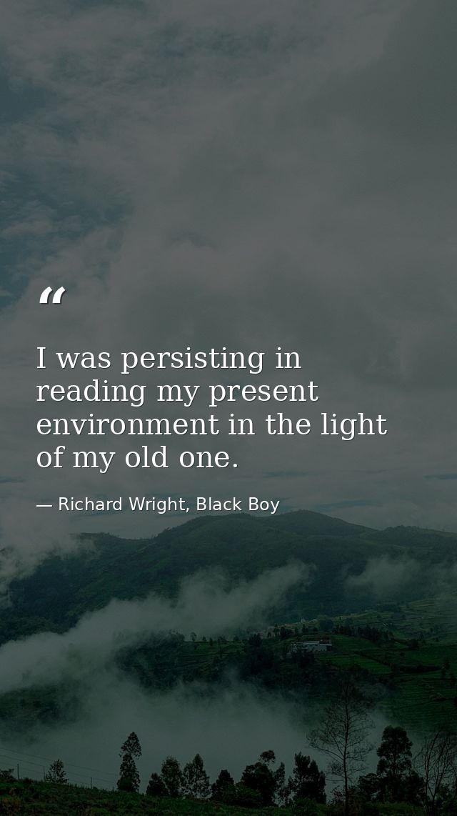 I was persisting in reading my present environment in the light of my old one. — Richard Wright, Black Boy