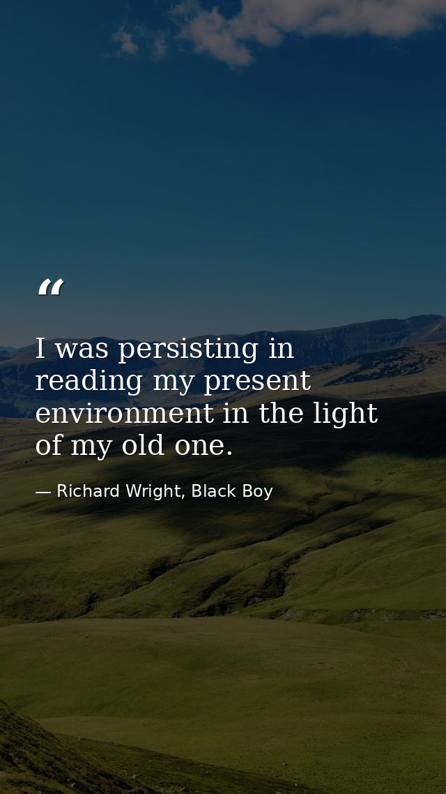 I was persisting in reading my present environment in the light of my old one. — Richard Wright, Black Boy