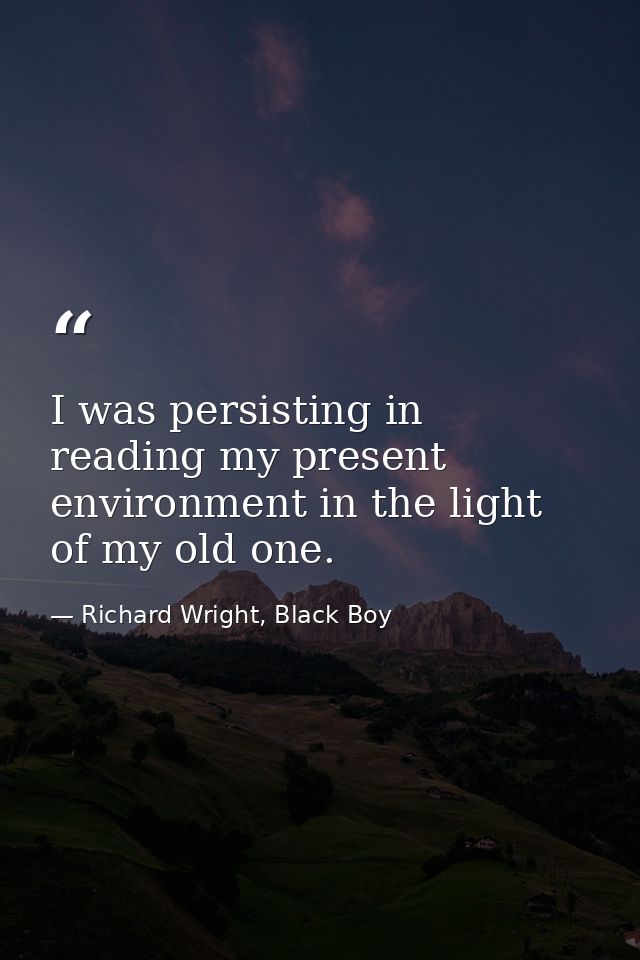 I was persisting in reading my present environment in the light of my old one. — Richard Wright, Black Boy
