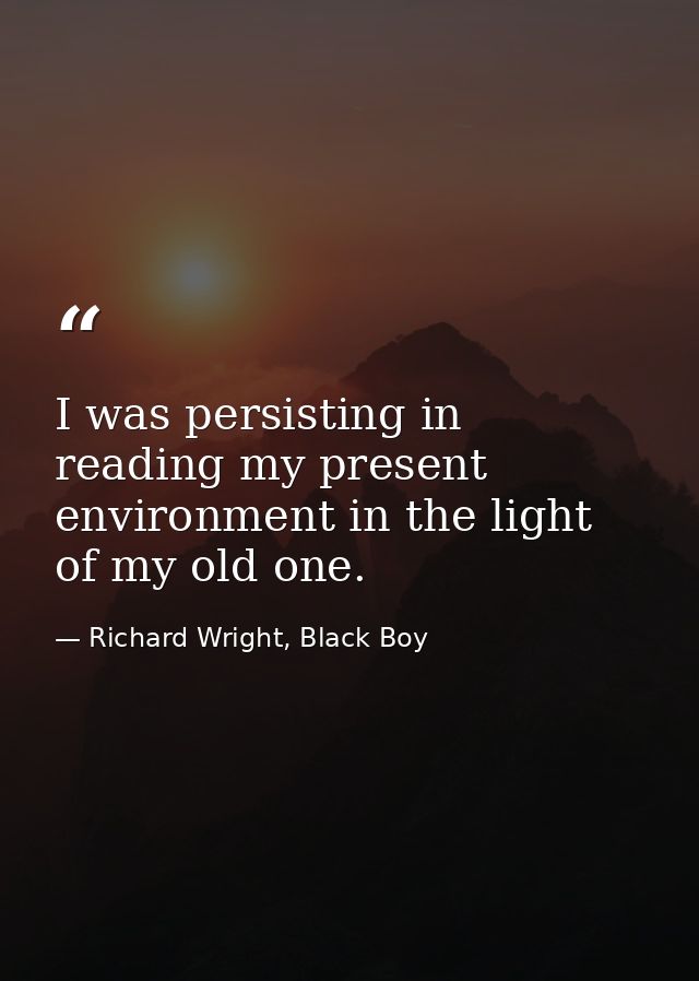 I was persisting in reading my present environment in the light of my old one. — Richard Wright, Black Boy