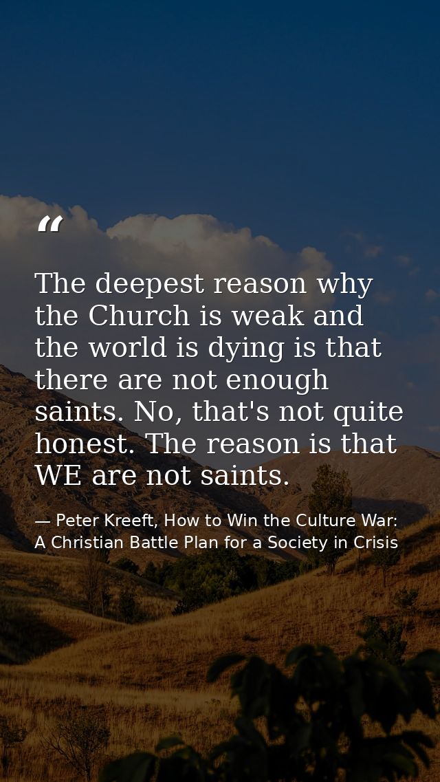 The deepest reason why the Church is weak and the world is dying is that there are not enough saints. No, that's not qui — Peter Kreeft, How to Win the Culture War: A Christian Battle Plan for a Society in Crisis