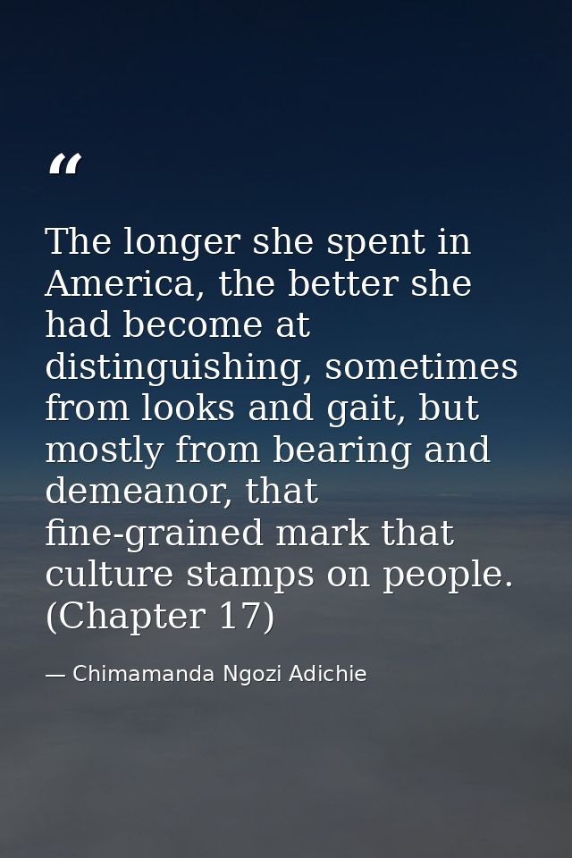 The longer she spent in America, the better she had become at distinguishing, sometimes from looks and gait, but mostly  — Chimamanda Ngozi Adichie