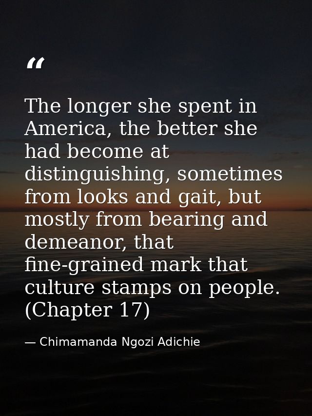 The longer she spent in America, the better she had become at distinguishing, sometimes from looks and gait, but mostly  — Chimamanda Ngozi Adichie