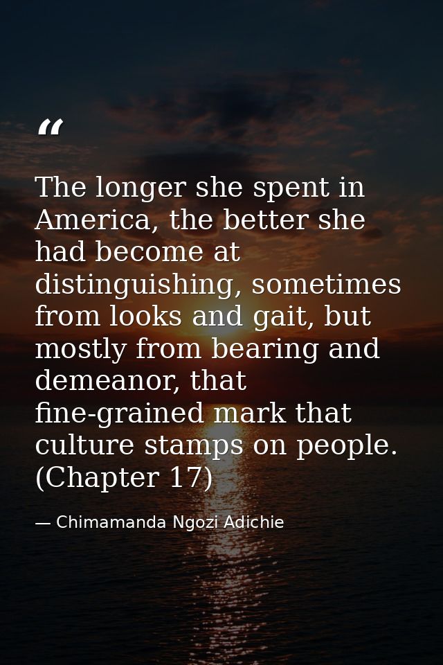 The longer she spent in America, the better she had become at distinguishing, sometimes from looks and gait, but mostly  — Chimamanda Ngozi Adichie