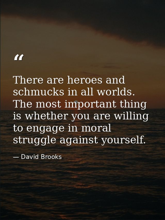 There are heroes and schmucks in all worlds. The most important thing is whether you are willing to engage in moral stru — David Brooks