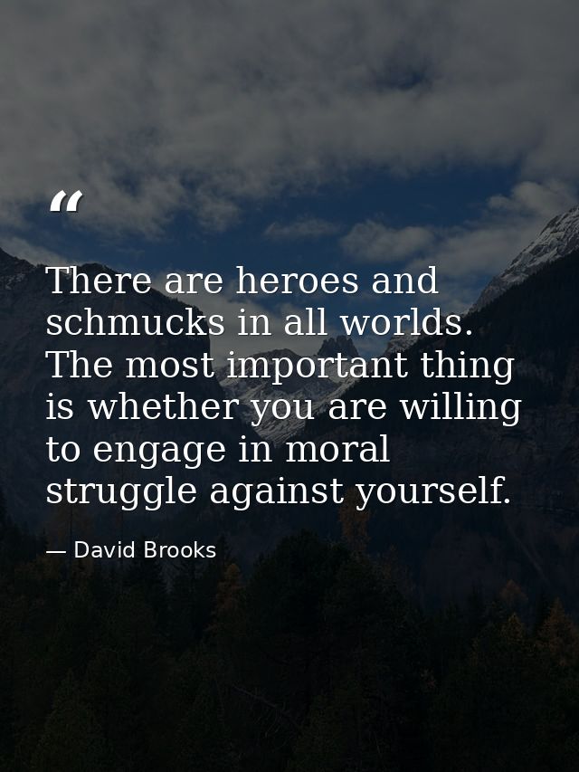 There are heroes and schmucks in all worlds. The most important thing is whether you are willing to engage in moral stru — David Brooks