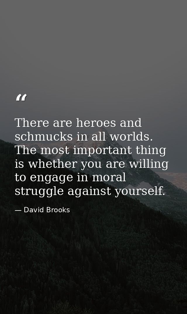 There are heroes and schmucks in all worlds. The most important thing is whether you are willing to engage in moral stru — David Brooks