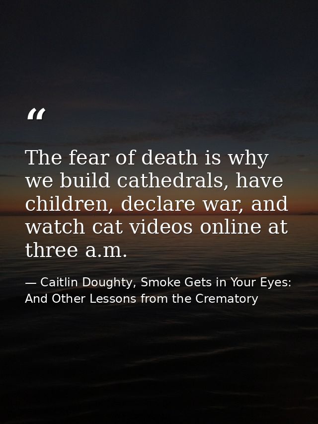 The fear of death is why we build cathedrals, have children, declare war, and watch cat videos online at three a.m. — Caitlin Doughty, Smoke Gets in Your Eyes: And Other Lessons from the Crematory