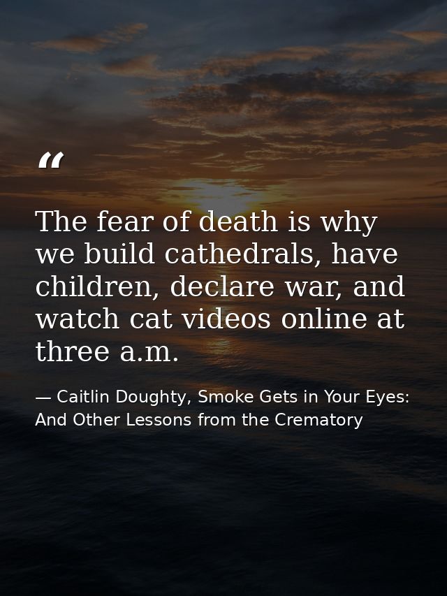 The fear of death is why we build cathedrals, have children, declare war, and watch cat videos online at three a.m. — Caitlin Doughty, Smoke Gets in Your Eyes: And Other Lessons from the Crematory