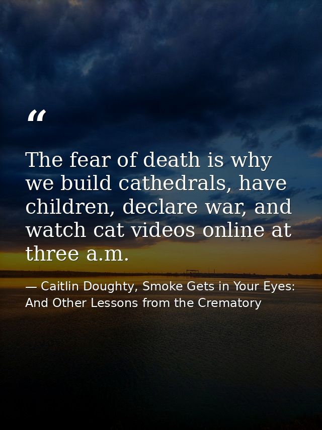 The fear of death is why we build cathedrals, have children, declare war, and watch cat videos online at three a.m. — Caitlin Doughty, Smoke Gets in Your Eyes: And Other Lessons from the Crematory