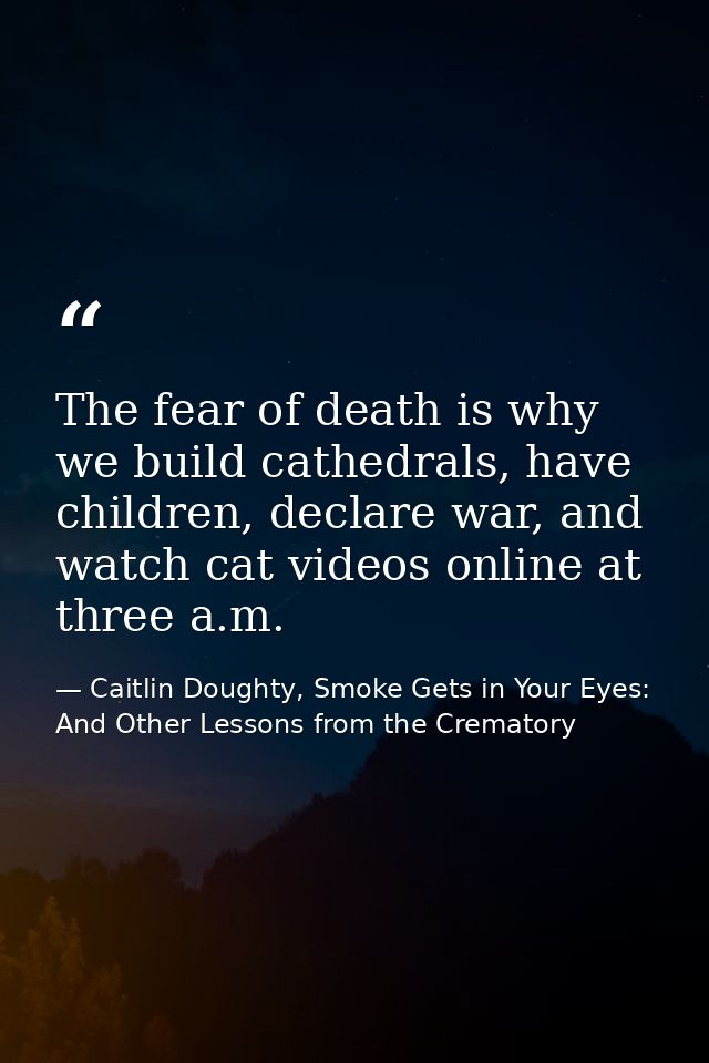 The fear of death is why we build cathedrals, have children, declare war, and watch cat videos online at three a.m. — Caitlin Doughty, Smoke Gets in Your Eyes: And Other Lessons from the Crematory