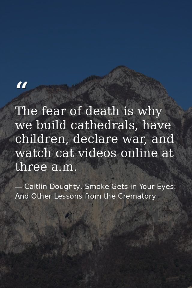 The fear of death is why we build cathedrals, have children, declare war, and watch cat videos online at three a.m. — Caitlin Doughty, Smoke Gets in Your Eyes: And Other Lessons from the Crematory