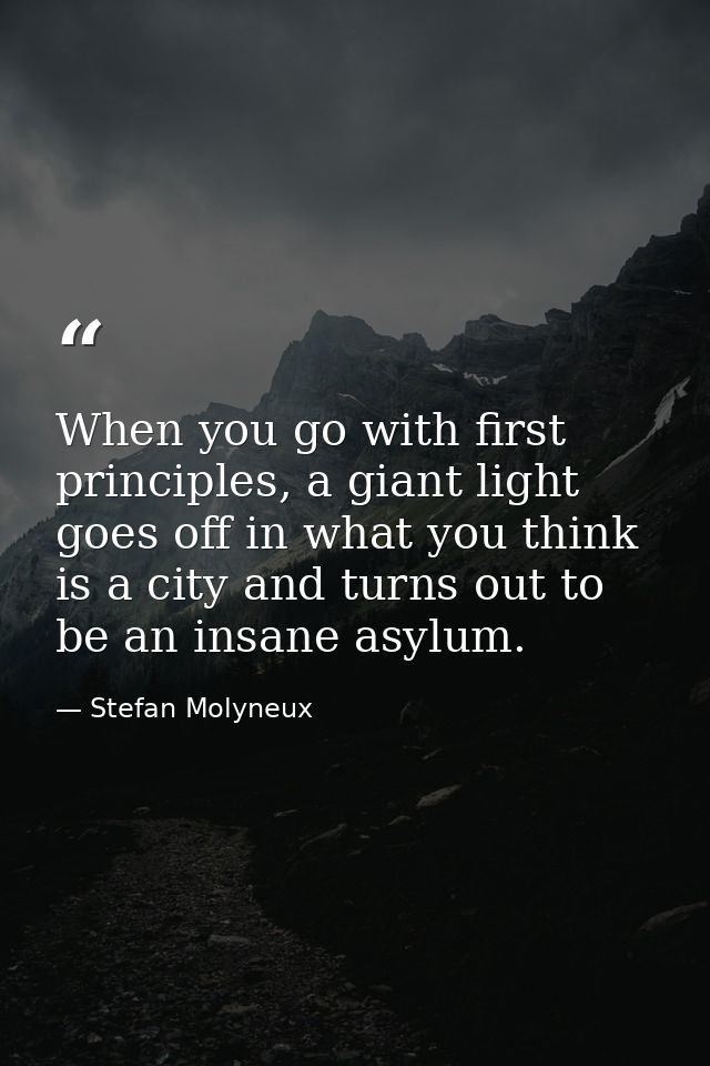 When you go with first principles, a giant light goes off in what you think is a city and turns out to be an insane asyl — Stefan Molyneux