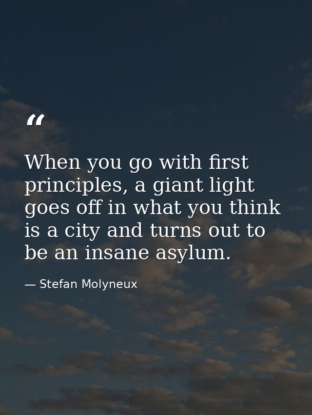 When you go with first principles, a giant light goes off in what you think is a city and turns out to be an insane asyl — Stefan Molyneux