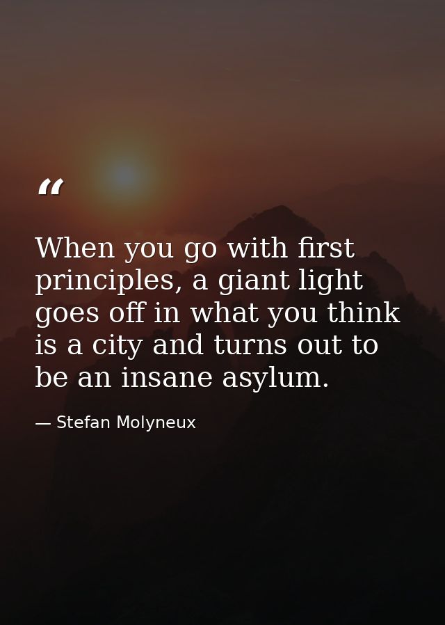 When you go with first principles, a giant light goes off in what you think is a city and turns out to be an insane asyl — Stefan Molyneux