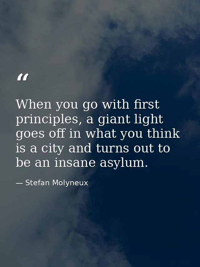 When you go with first principles, a giant light goes off in what you think is a city and turns out to be an insane asyl — Stefan Molyneux