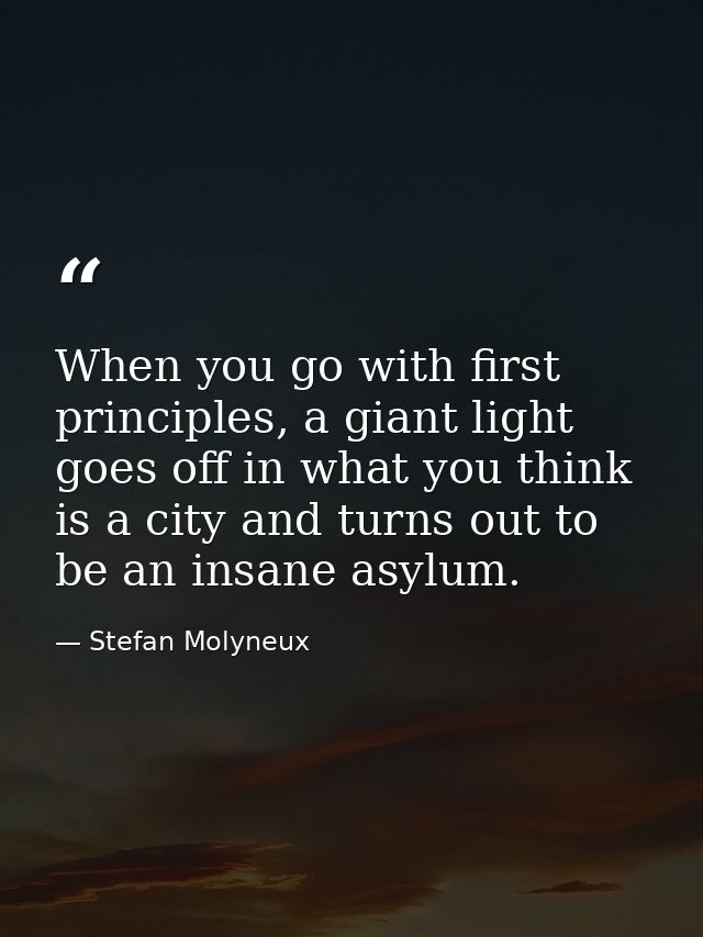 When you go with first principles, a giant light goes off in what you think is a city and turns out to be an insane asyl — Stefan Molyneux