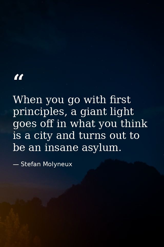 When you go with first principles, a giant light goes off in what you think is a city and turns out to be an insane asyl — Stefan Molyneux