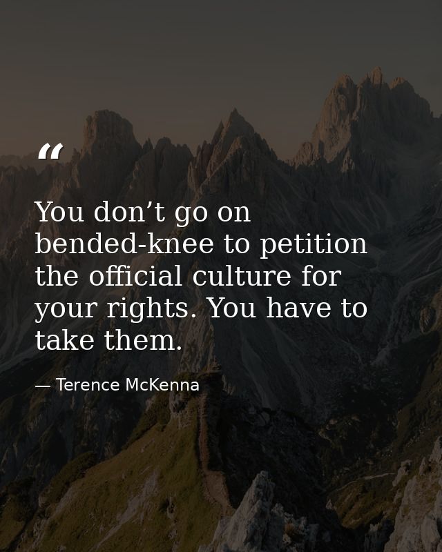 You don’t go on bended-knee to petition the official culture for your rights. You have to take them. — Terence McKenna