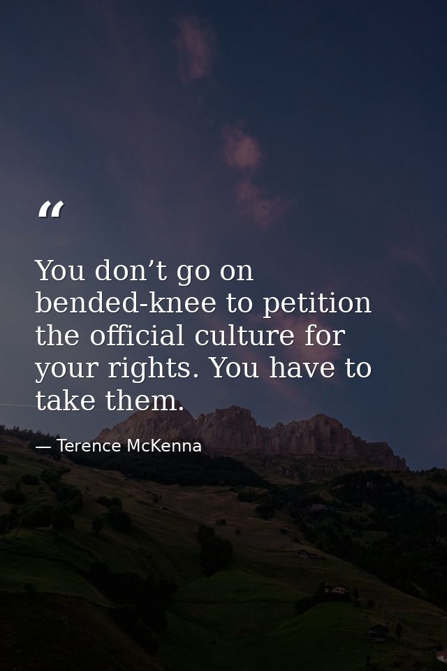You don’t go on bended-knee to petition the official culture for your rights. You have to take them. — Terence McKenna