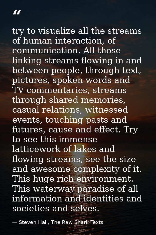 try to visualize all the streams of human interaction, of communication. All those linking streams flowing in and betwee — Steven Hall, The Raw Shark Texts