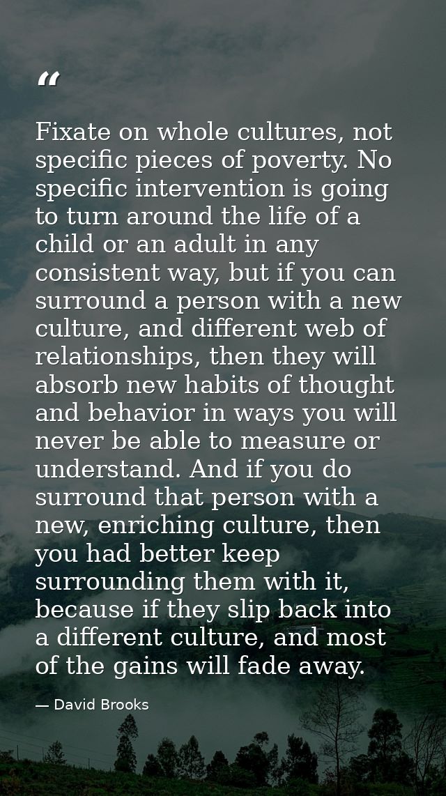 Fixate on whole cultures, not specific pieces of poverty. No specific intervention is going to turn around the life of a — David Brooks