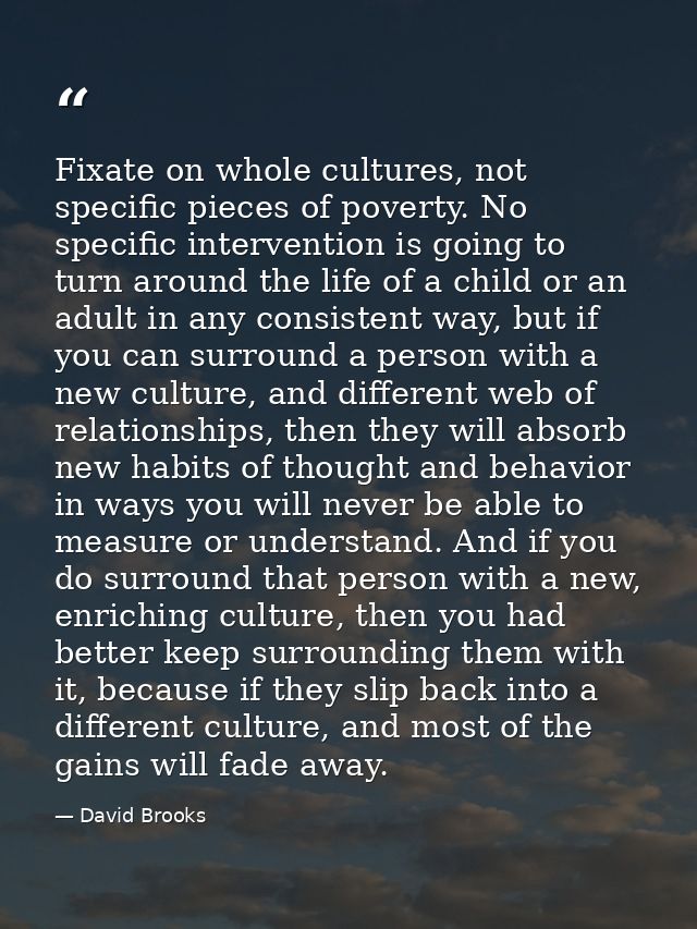 Fixate on whole cultures, not specific pieces of poverty. No specific intervention is going to turn around the life of a — David Brooks