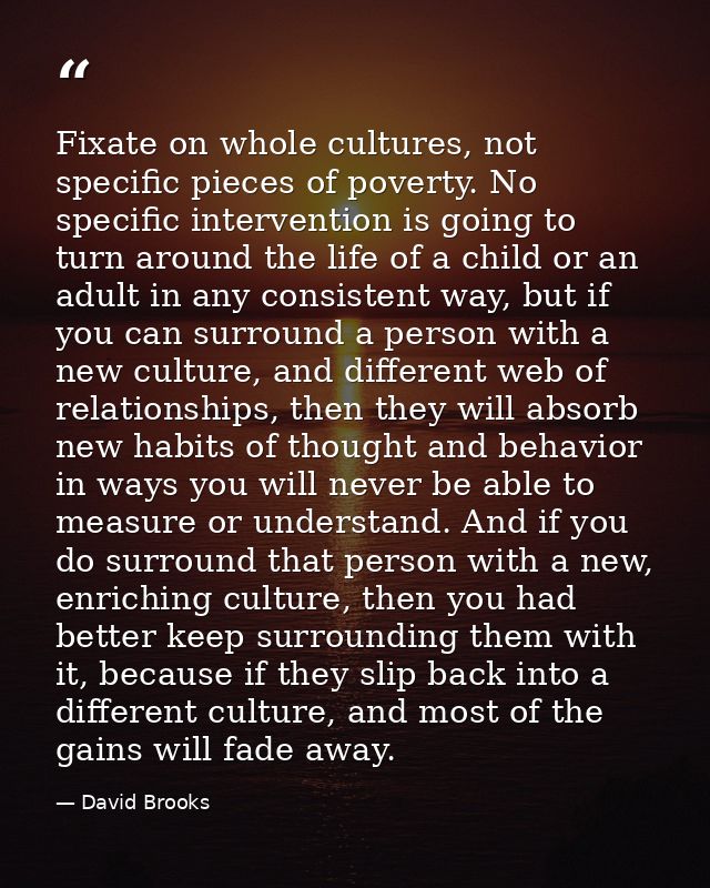 Fixate on whole cultures, not specific pieces of poverty. No specific intervention is going to turn around the life of a — David Brooks