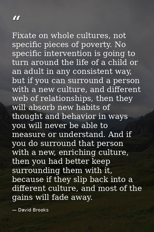 Fixate on whole cultures, not specific pieces of poverty. No specific intervention is going to turn around the life of a — David Brooks
