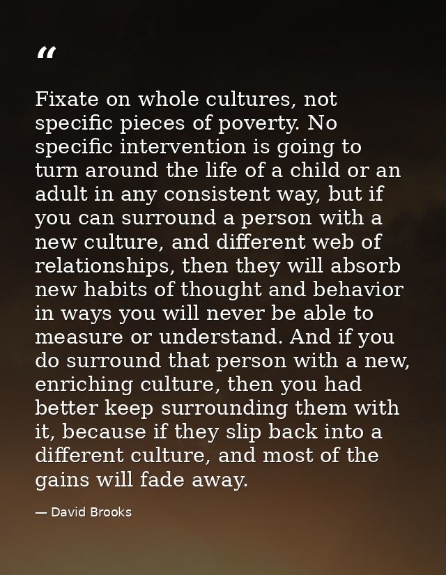 Fixate on whole cultures, not specific pieces of poverty. No specific intervention is going to turn around the life of a — David Brooks
