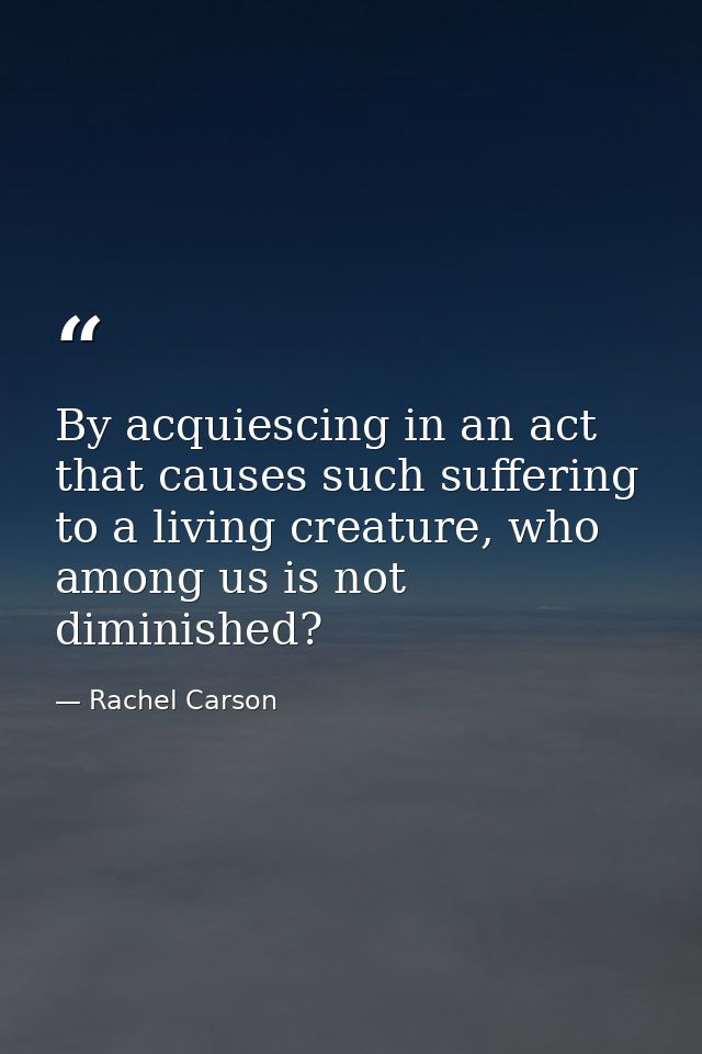 By acquiescing in an act that causes such suffering to a living creature, who among us is not diminished? — Rachel Carson