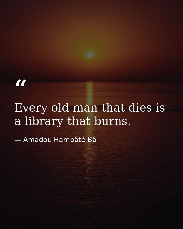 Every old man that dies is a library that burns. — Amadou Hampâté Bâ