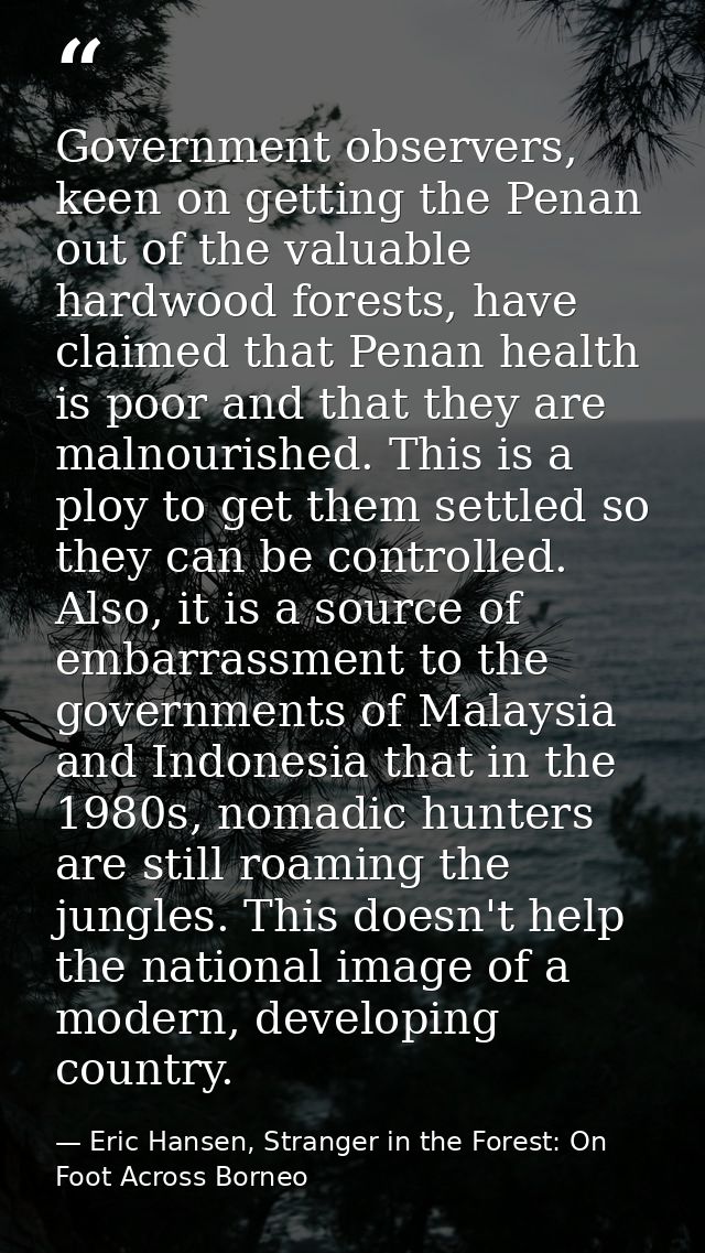 Government observers, keen on getting the Penan out of the valuable hardwood forests, have claimed that Penan health is  — Eric Hansen, Stranger in the Forest: On Foot Across Borneo
