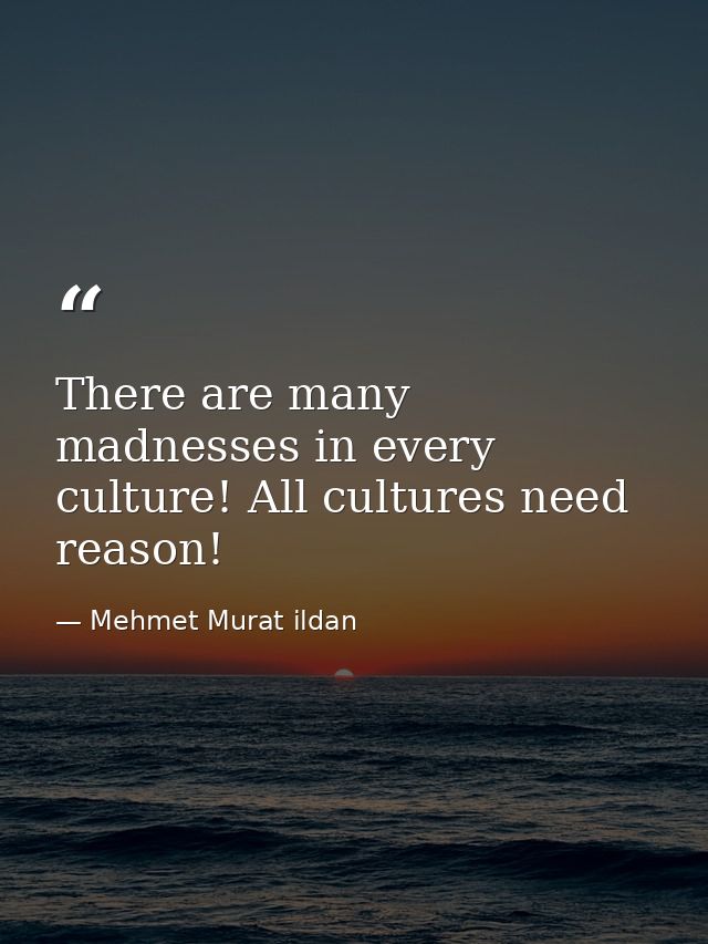 There are many madnesses in every culture! All cultures need reason! — Mehmet Murat ildan