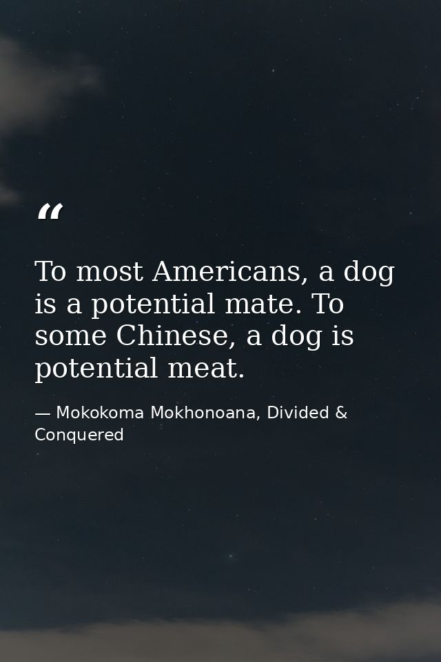 To most Americans, a dog is a potential mate. To some Chinese, a dog is potential meat. — Mokokoma Mokhonoana, Divided & Conquered
