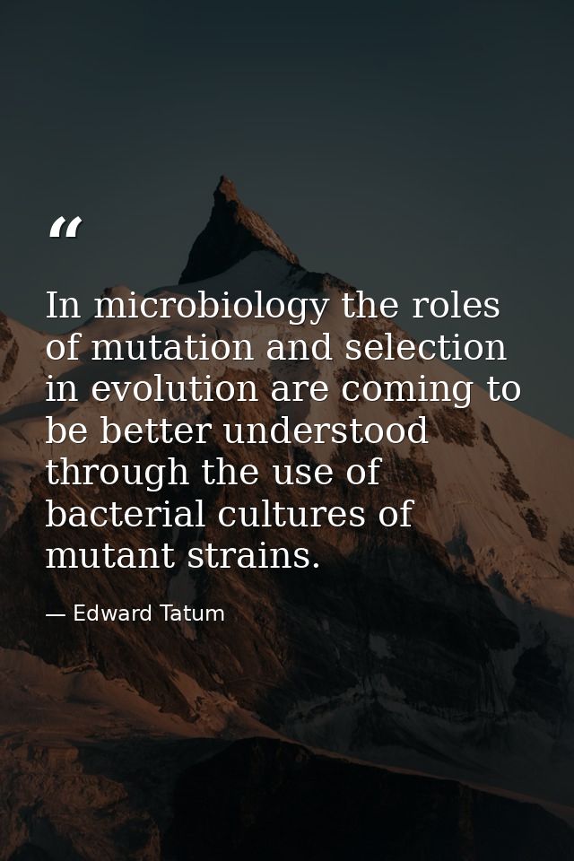 In microbiology the roles of mutation and selection in evolution are coming to be better understood through the use of b — Edward Tatum