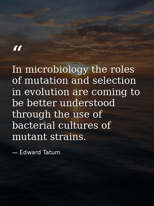 In microbiology the roles of mutation and selection in evolution are coming to be better understood through the use of b — Edward Tatum