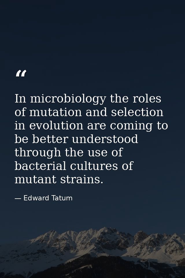In microbiology the roles of mutation and selection in evolution are coming to be better understood through the use of b — Edward Tatum