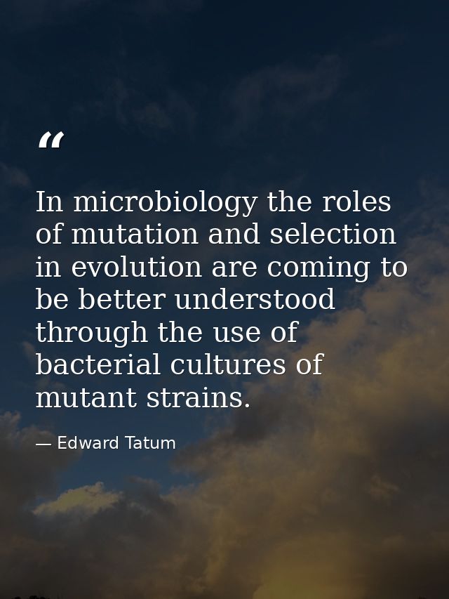 In microbiology the roles of mutation and selection in evolution are coming to be better understood through the use of b — Edward Tatum