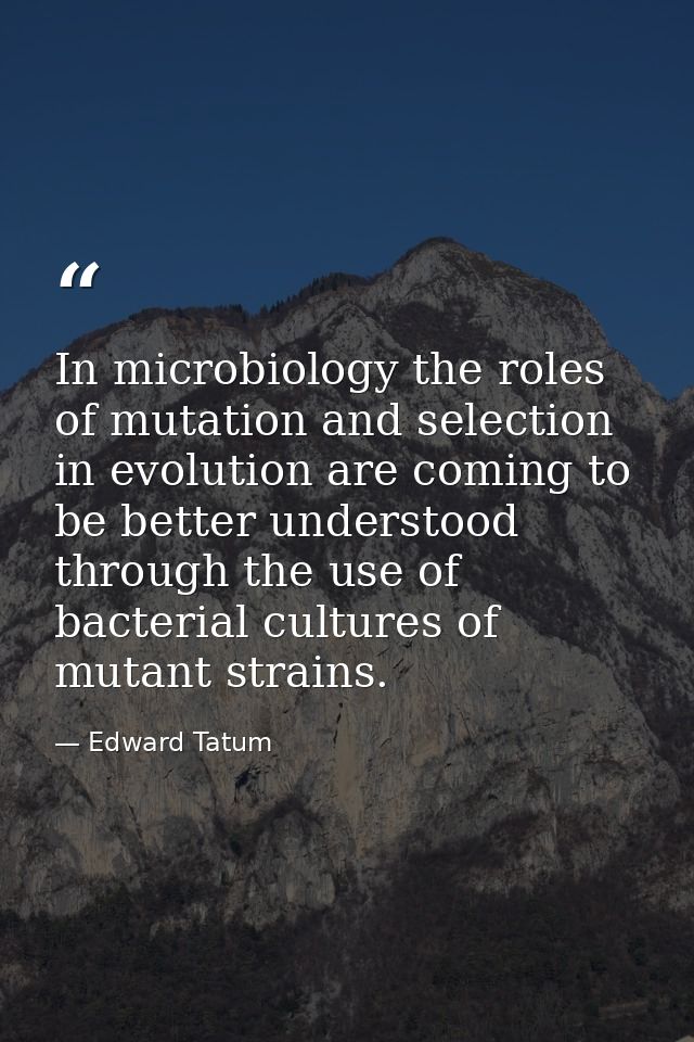In microbiology the roles of mutation and selection in evolution are coming to be better understood through the use of b — Edward Tatum