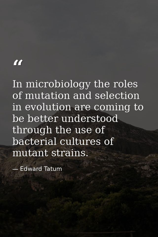 In microbiology the roles of mutation and selection in evolution are coming to be better understood through the use of b — Edward Tatum