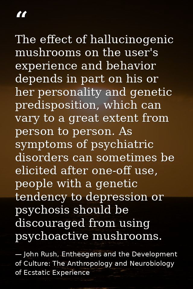 The effect of hallucinogenic mushrooms on the user's experience and behavior depends in part on his or her personality a — John Rush, Entheogens and the Development of Culture: The Anthropology and Neurobiology of Ecstatic Experience