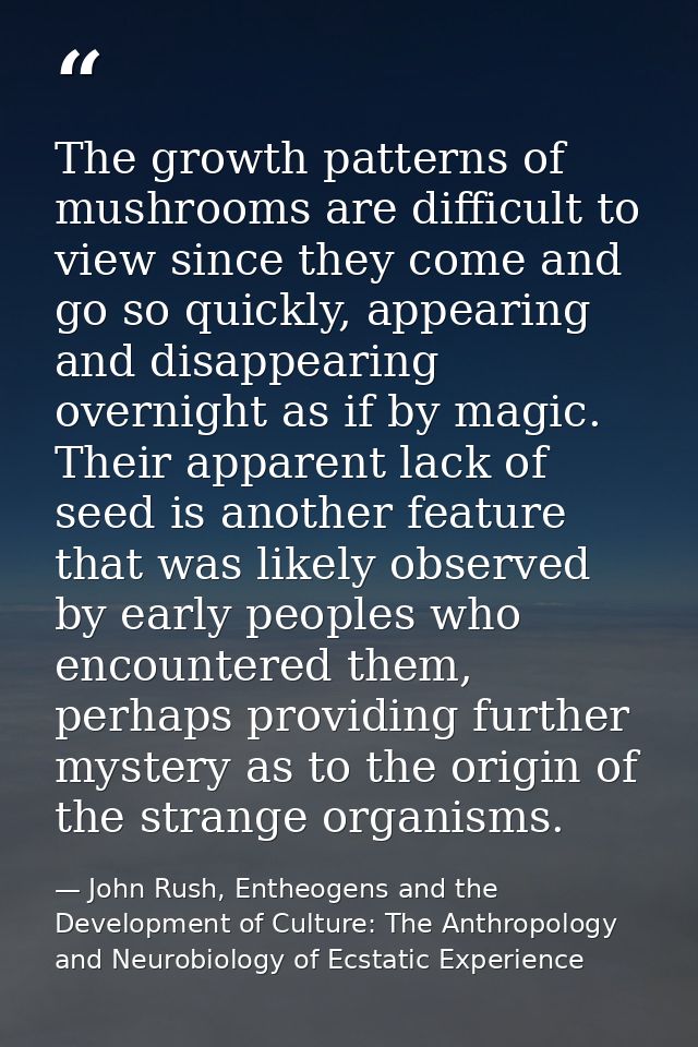 The growth patterns of mushrooms are difficult to view since they come and go so quickly, appearing and disappearing ove — John Rush, Entheogens and the Development of Culture: The Anthropology and Neurobiology of Ecstatic Experience