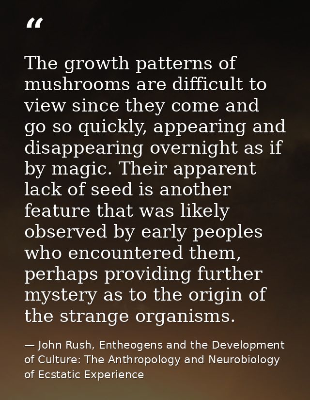 The growth patterns of mushrooms are difficult to view since they come and go so quickly, appearing and disappearing ove — John Rush, Entheogens and the Development of Culture: The Anthropology and Neurobiology of Ecstatic Experience